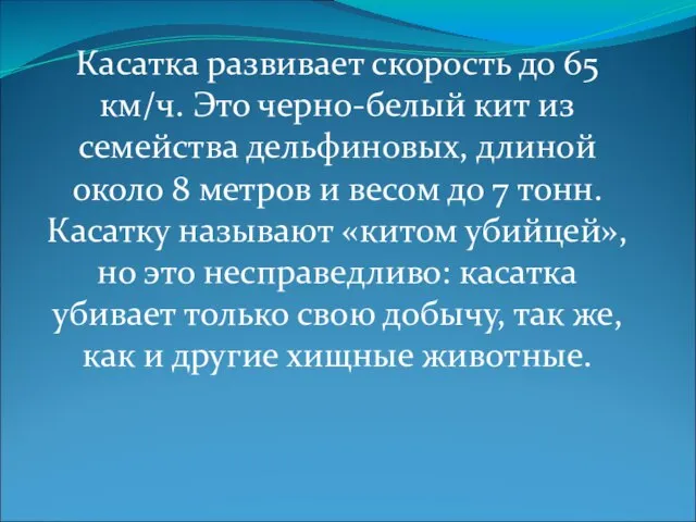 Касатка развивает скорость до 65 км/ч. Это черно-белый кит из семейства дельфиновых,