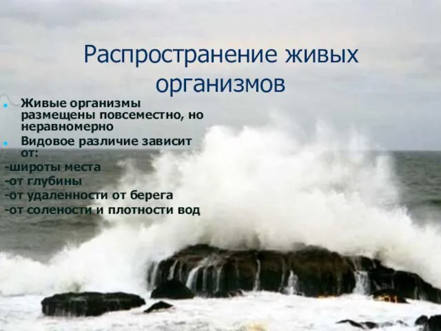 Распространение живых организмов Живые организмы размещены повсеместно, но неравномерно Видовое различие зависит