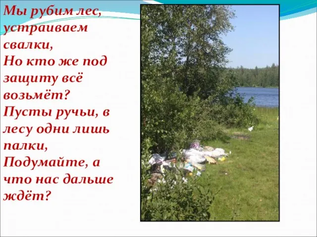 Мы рубим лес, устраиваем свалки, Но кто же под защиту всё возьмёт?