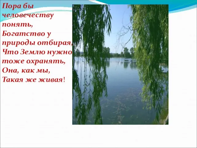 Пора бы человечеству понять, Богатство у природы отбирая, Что Землю нужно тоже