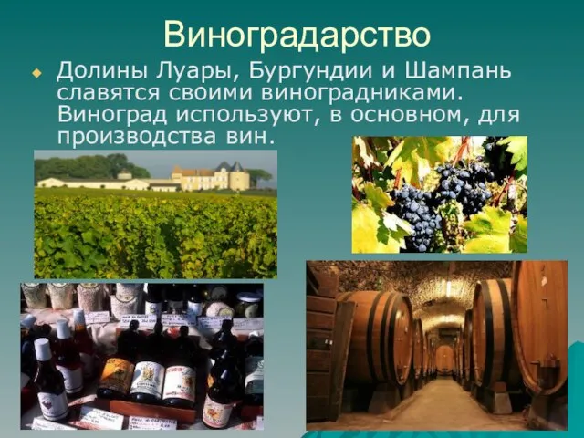 Виноградарство Долины Луары, Бургундии и Шампань славятся своими виноградниками. Виноград используют, в основном, для производства вин.
