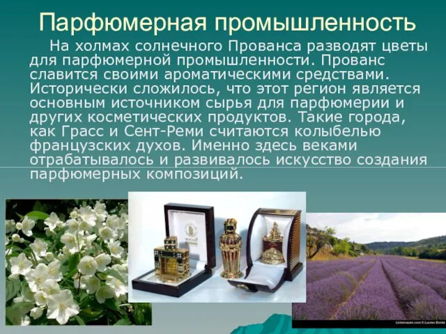 Парфюмерная промышленность На холмах солнечного Прованса разводят цветы для парфюмерной промышленности. Прованс