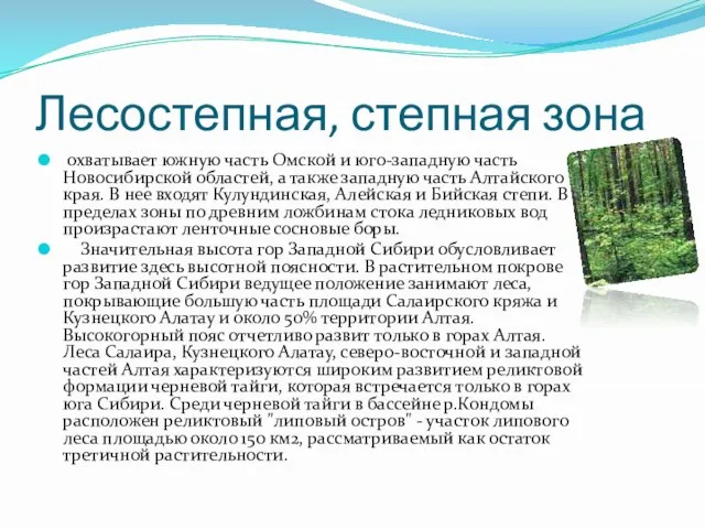 Лесостепная, степная зона охватывает южную часть Омской и юго-западную часть Новосибирской областей,