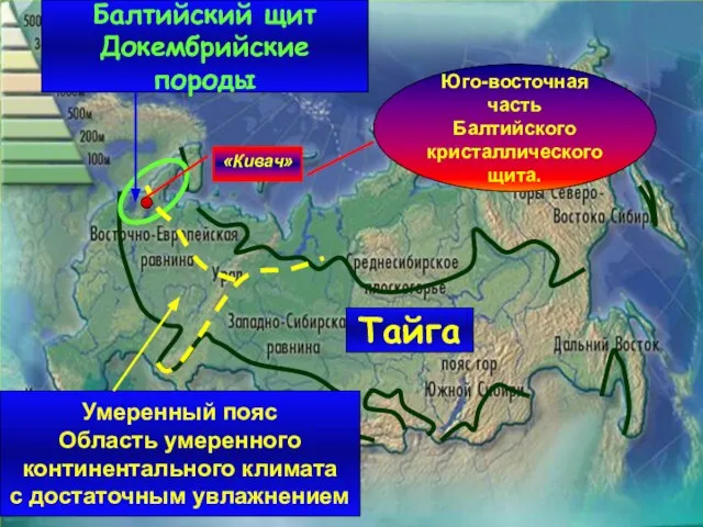 Тайга Балтийский щит Докембрийские породы Умеренный пояс Область умеренного континентального климата с