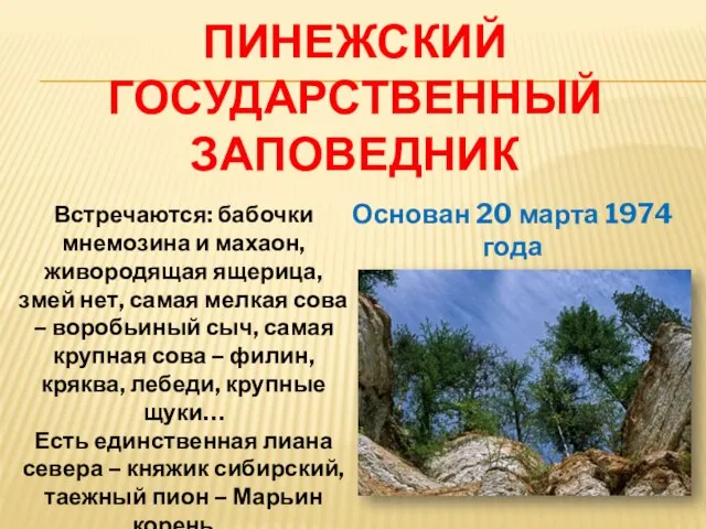 Пинежский государственный заповедник Основан 20 марта 1974 года Встречаются: бабочки мнемозина и