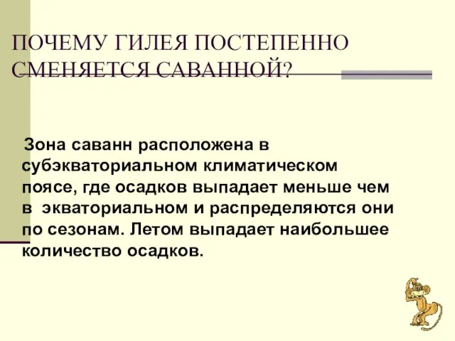 ПОЧЕМУ ГИЛЕЯ ПОСТЕПЕННО СМЕНЯЕТСЯ САВАННОЙ? Зона саванн расположена в субэкваториальном климатическом поясе,