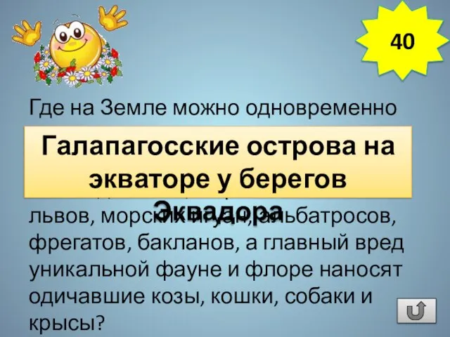 Где на Земле можно одновременно встретить пингвинов, кактусы опунции высотой до 10