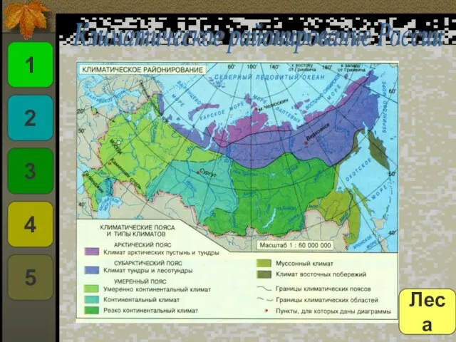 Климатическое районирование России 1 2 3 4 5 Леса