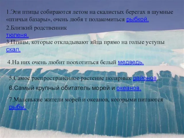 1.Эти птицы собираются летом на скалистых берегах в шумные «птичьи базары», очень