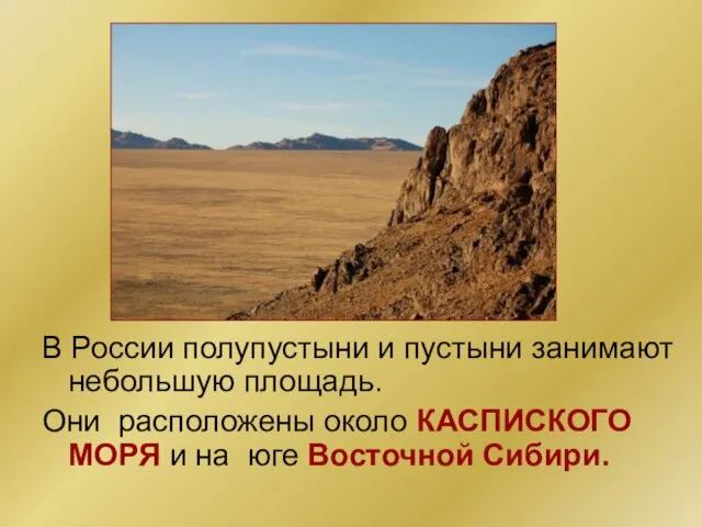 В России полупустыни и пустыни занимают небольшую площадь. Они расположены около КАСПИСКОГО