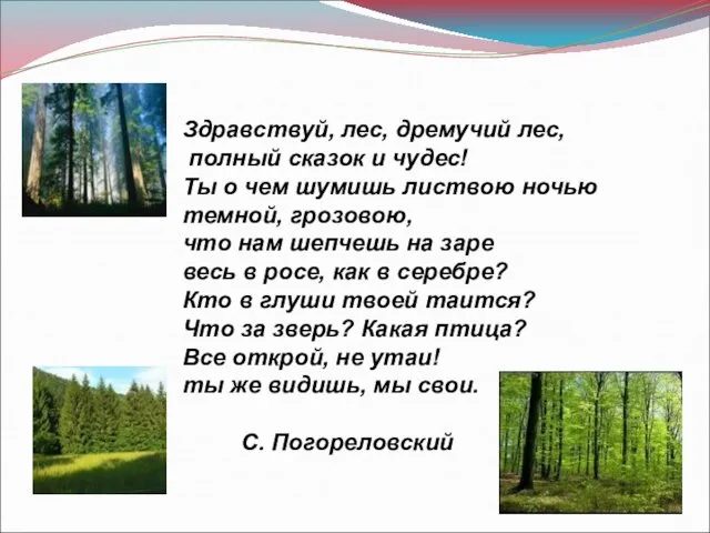 Здравствуй, лес, дремучий лес, полный сказок и чудес! Ты о чем шумишь