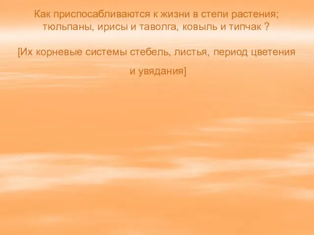 Как приспосабливаются к жизни в степи растения; тюльпаны, ирисы и таволга, ковыль