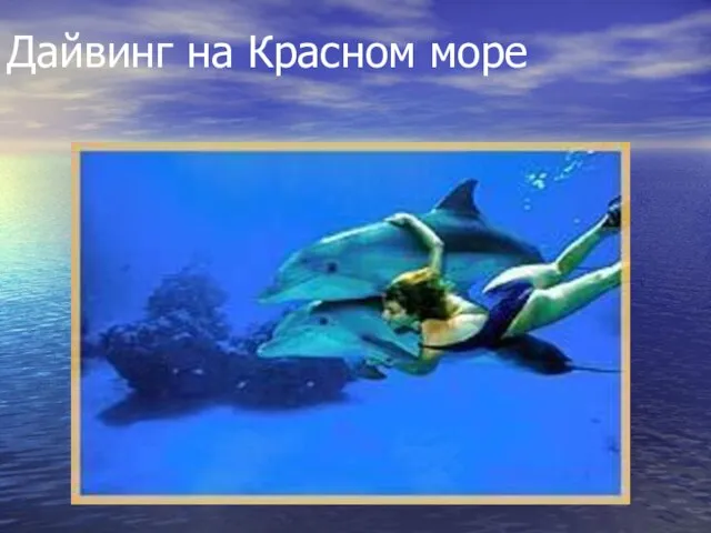 Дайвинг на Красном море