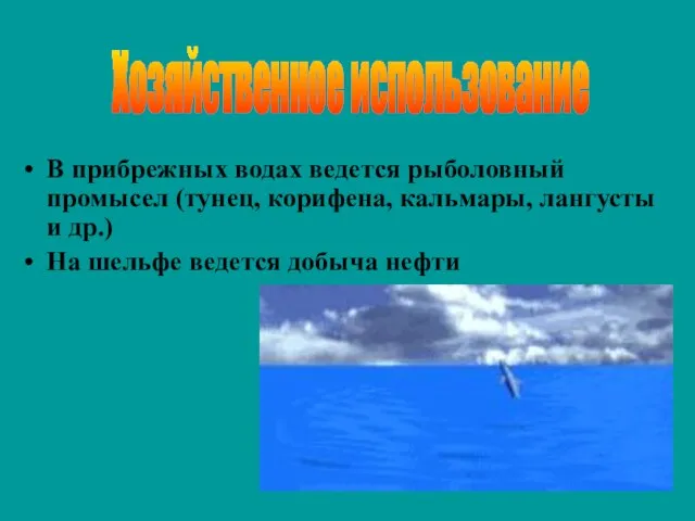 В прибрежных водах ведется рыболовный промысел (тунец, корифена, кальмары, лангусты и др.)