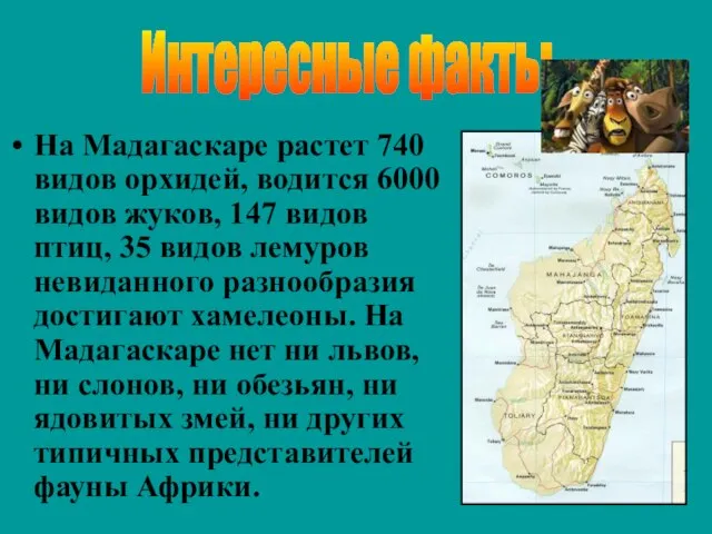 На Мадагаскаре растет 740 видов орхидей, водится 6000 видов жуков, 147 видов