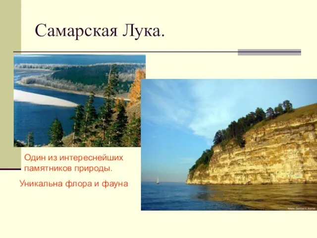 Самарская Лука. Уникальна флора и фауна Один из интереснейших памятников природы.