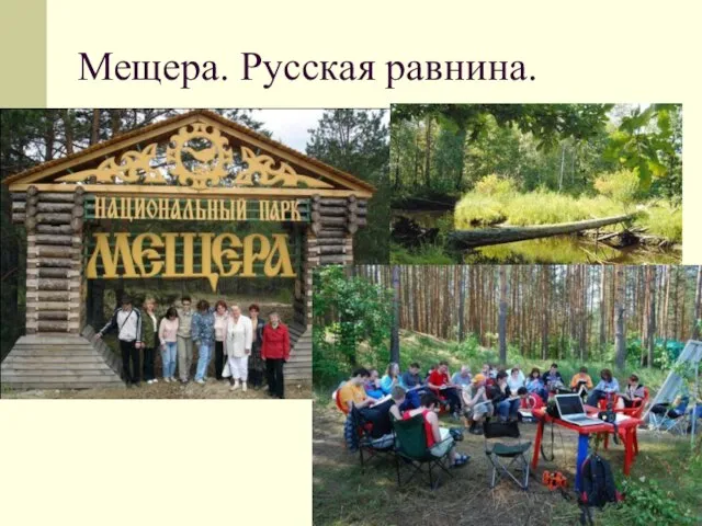 Мещера. Русская равнина.