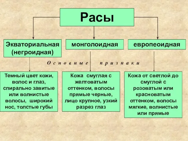 Расы