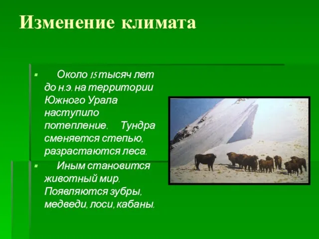 Изменение климата Около 15 тысяч лет до н.э. на территории Южного Урала