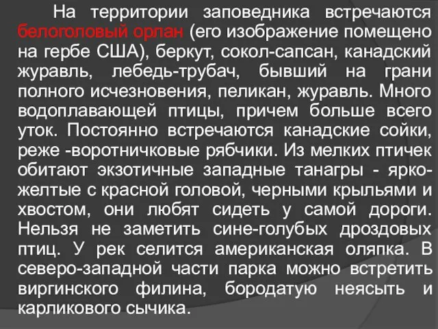 На территории заповедника встречаются белоголовый орлан (его изображение помещено на гербе США),