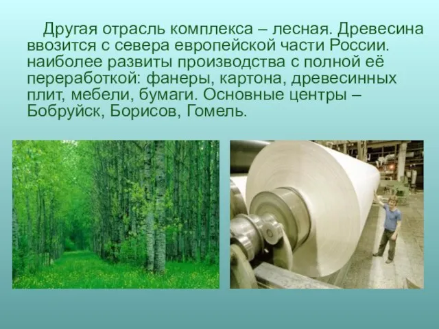 Другая отрасль комплекса – лесная. Древесина ввозится с севера европейской части России.