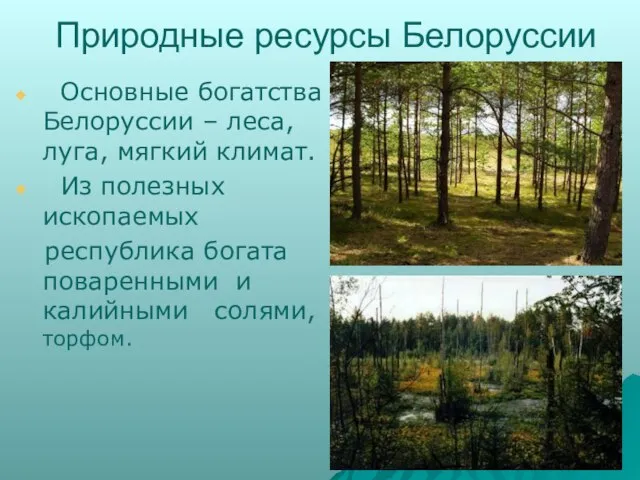Природные ресурсы Белоруссии Основные богатства Белоруссии – леса, луга, мягкий климат. Из