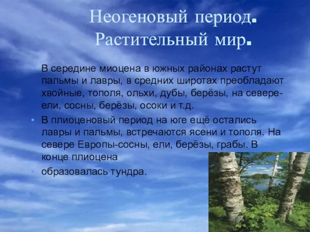 Неогеновый период. Растительный мир. В середине миоцена в южных районах растут пальмы