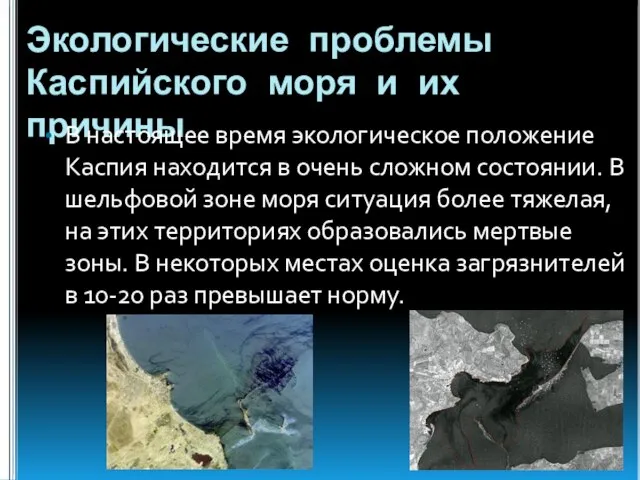 Экологические проблемы Каспийского моря и их причины В настоящее время экологическое положение