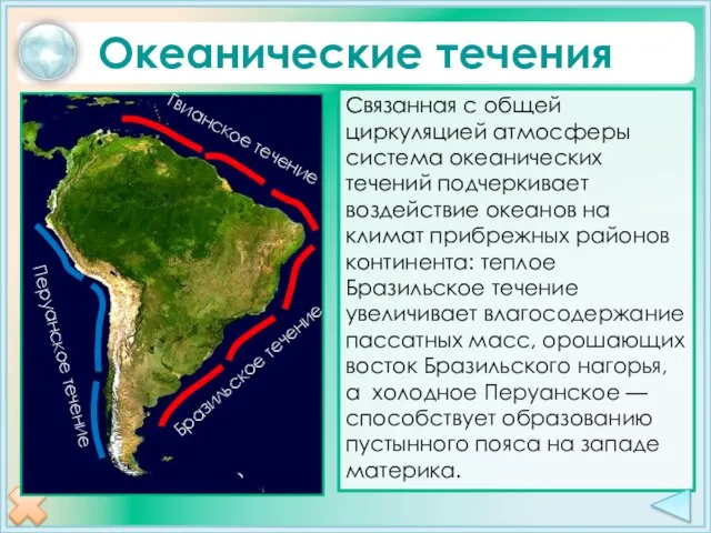 Связанная с общей циркуляцией атмосферы система океанических течений подчеркивает воздействие океанов на