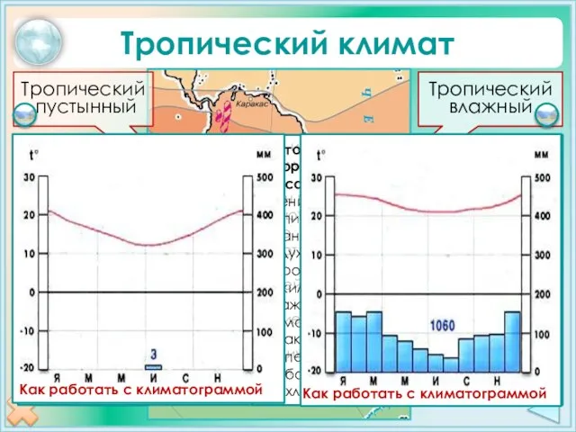 Тропический климат 3а 3б Тропический пустынный Тропический влажный Побережье Тихого океана между