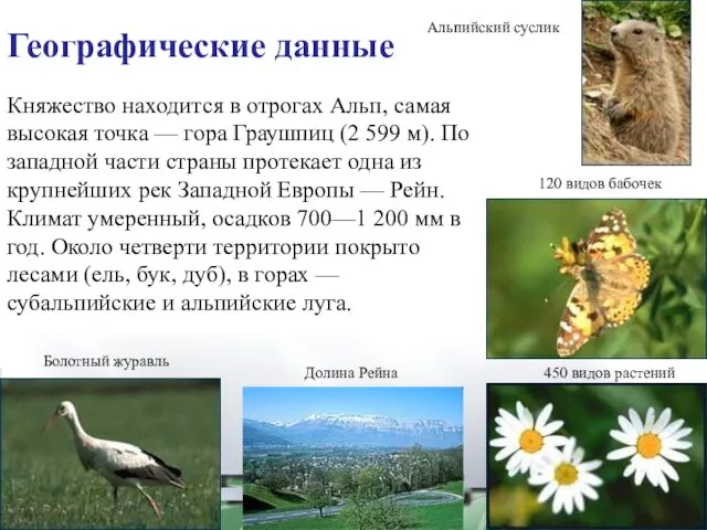 450 видов растений 120 видов бабочек Альпийский суслик Долина Рейна Болотный журавль