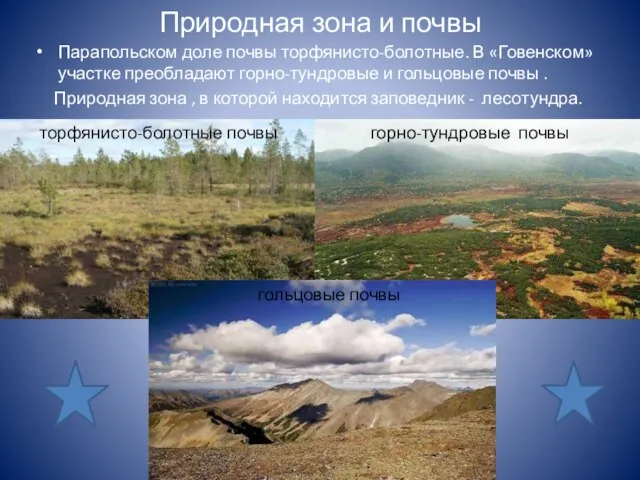 Природная зона и почвы Парапольском доле почвы торфянисто-болотные. В «Говенском» участке преобладают