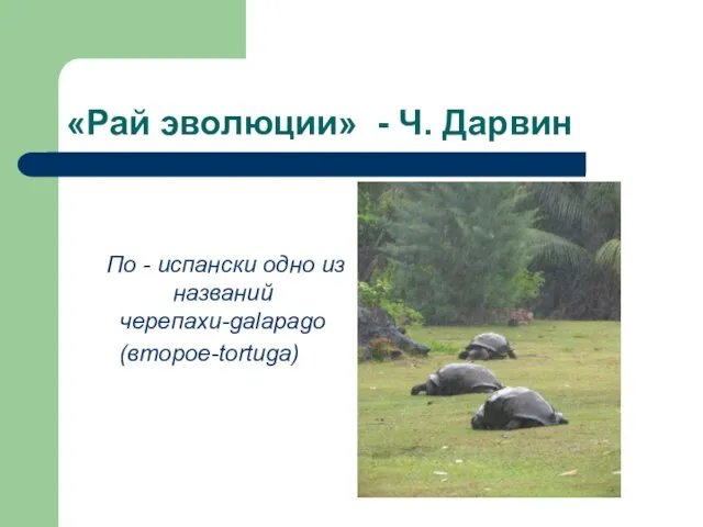 «Рай эволюции» - Ч. Дарвин По - испански одно из названий черепахи-galapago (второе-tortuga)