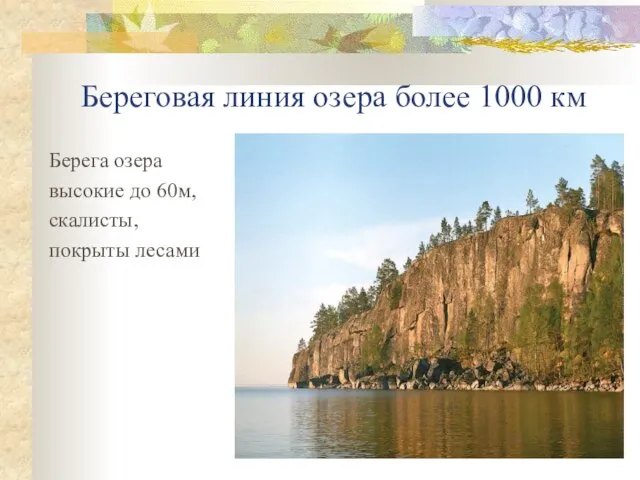 Береговая линия озера более 1000 км Берега озера высокие до 60м, скалисты, покрыты лесами