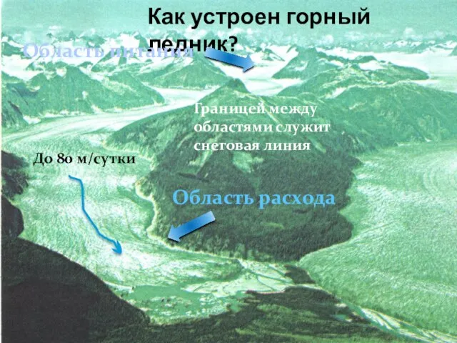 Как устроен горный ледник? Область питания Область расхода До 80 м/сутки Границей