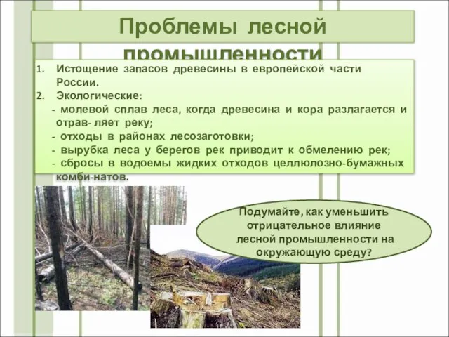 Проблемы лесной промышленности Истощение запасов древесины в европейской части России. Экологические: -