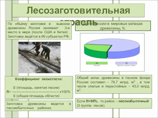 Доля России в мировых запасах древесины, %. Общий запас древесины в лесном