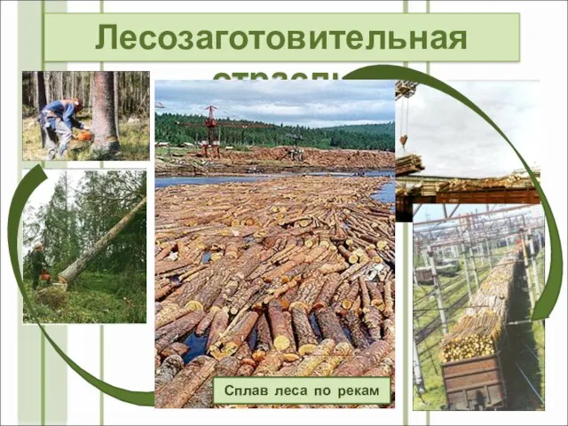 Лесозаготовительная отрасль Сплав леса по рекам