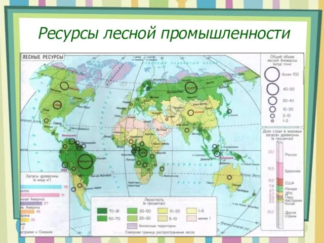 Ресурсы лесной промышленности