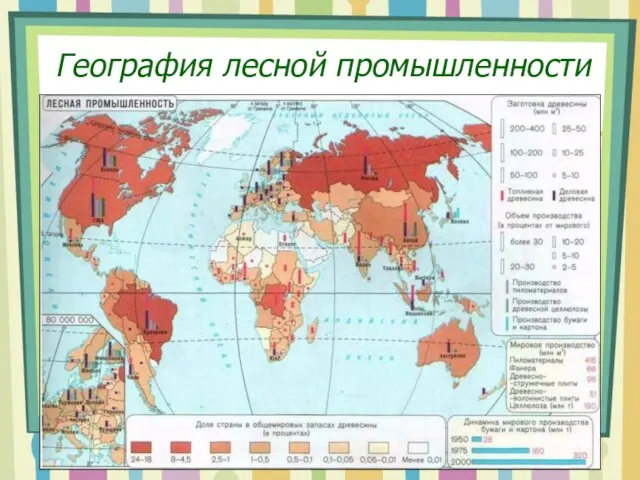 География лесной промышленности