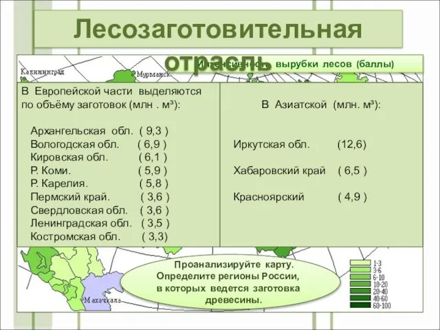 Интенсивность вырубки лесов (баллы) Проанализируйте карту. Определите регионы России, в которых ведется