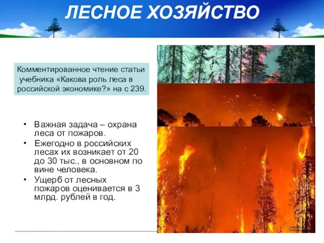 ЛЕСНОЕ ХОЗЯЙСТВО Важная задача – охрана леса от пожаров. Ежегодно в российских