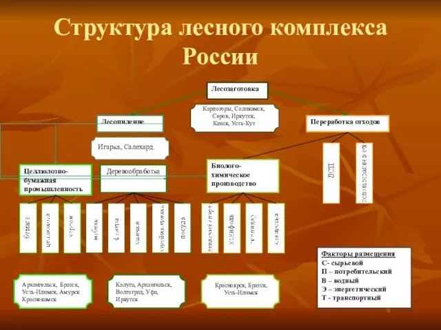 Структура лесного комплекса России Карпогоры, Соликамск, Серов, Иркутск, Канск, Усть-Кут Красноярск, Братск, Усть-Илимск