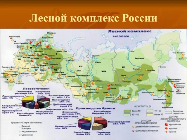 Лесной комплекс России