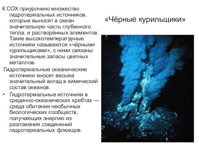 «Чёрные курильщики» К СОХ приурочено множество гидротермальных источников, которые выносят в океан
