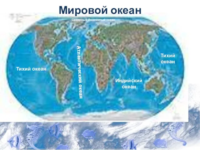 Мировой океан Тихий океан Атлантический океан Индийский океан Тихий океан Северный Ледовитый океан