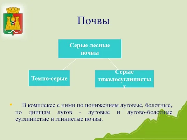 Почвы В комплексе с ними по понижениям луговые, болотные, по днищам лугов