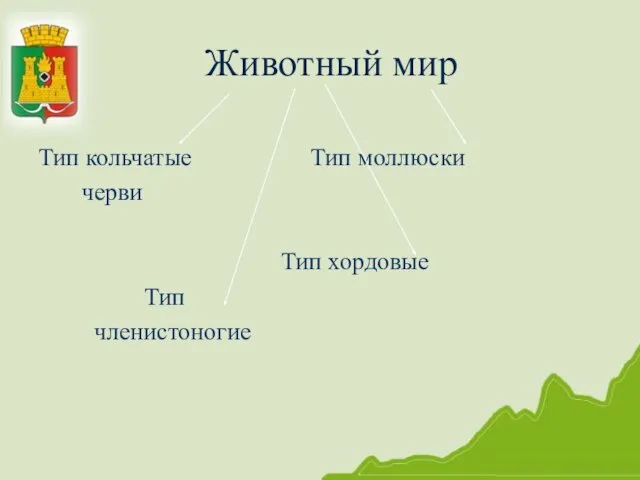 Животный мир Тип кольчатые Тип моллюски черви Тип хордовые Тип членистоногие