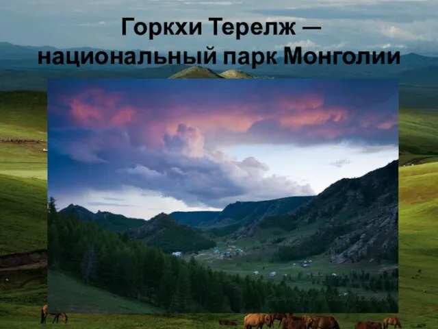 Горкхи Терелж — национальный парк Монголии