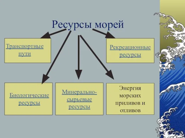 Ресурсы морей Транспортные пути Биологические ресурсы Минерально-сырьевые ресурсы Энергия морских приливов и отливов Рекреационные ресурсы